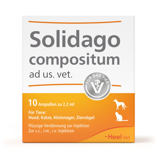 Verpackung von Solidago compositum ad us. vet. mit 10 Ampullen zu 2,2 ml, für Hunde, Katzen, Kleinnager und Ziervögel, flüssige Verdünnung zur Injektion, Heel Vet
