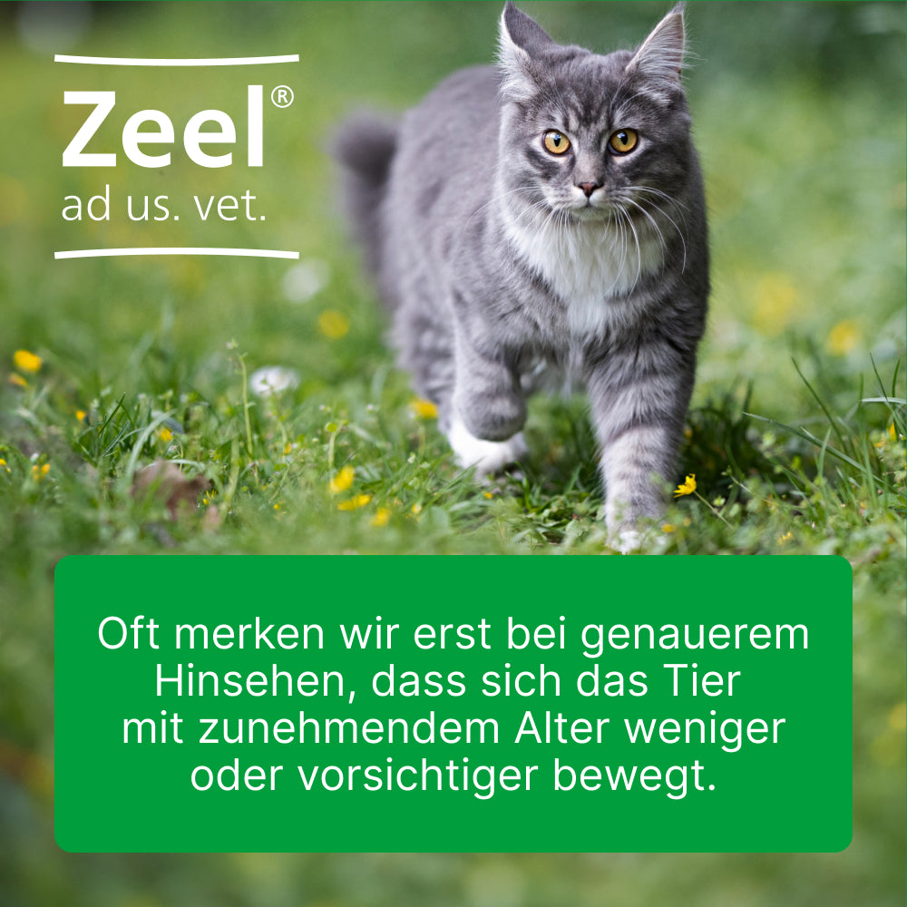 Zeel Tabletten für Hunde & Katzen I 100 St.