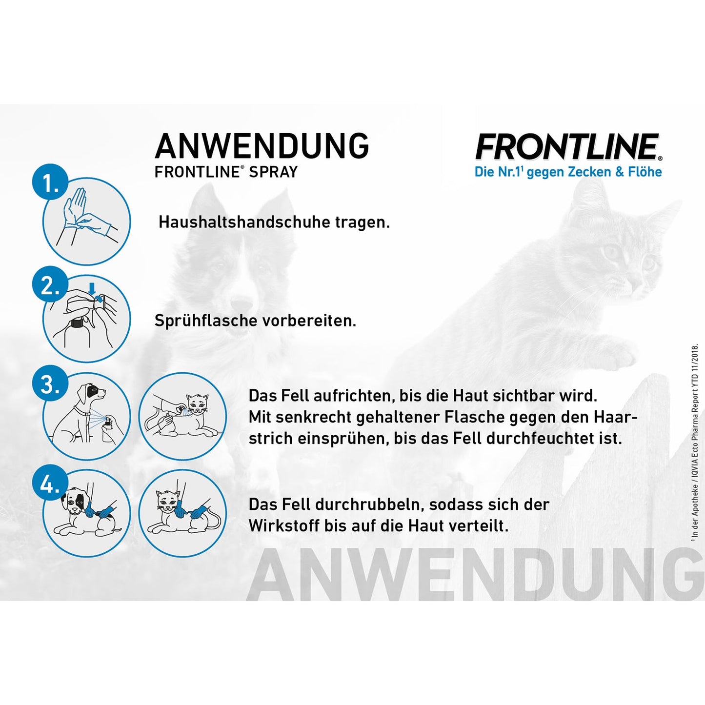Anleitung zur Anwendung von Frontline Spray gegen Zecken und Flöhe bei Katzen mit vier Schritten: Handschuhe tragen, Sprühflasche vorbereiten, Fell gegen den Haarstrich einsprühen, Wirkstoff ins Fell einreiben.
