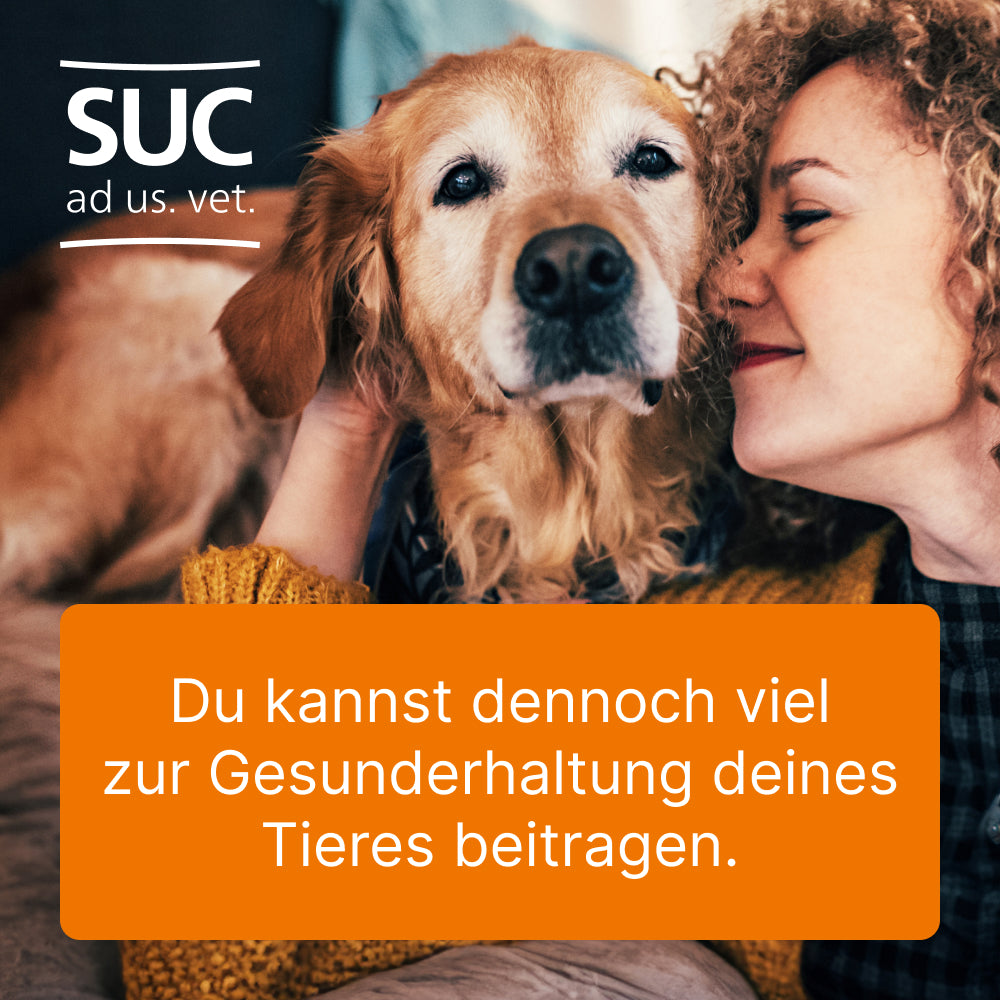 Ubichinon compositum Ampullen für Hunde und Katzen I 10 St.