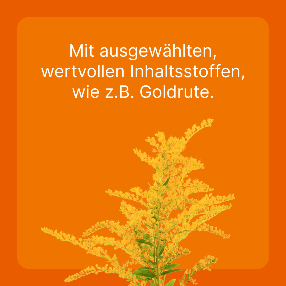 Ubichinon compositum Ampullen für Hunde und Katzen I 10 St.