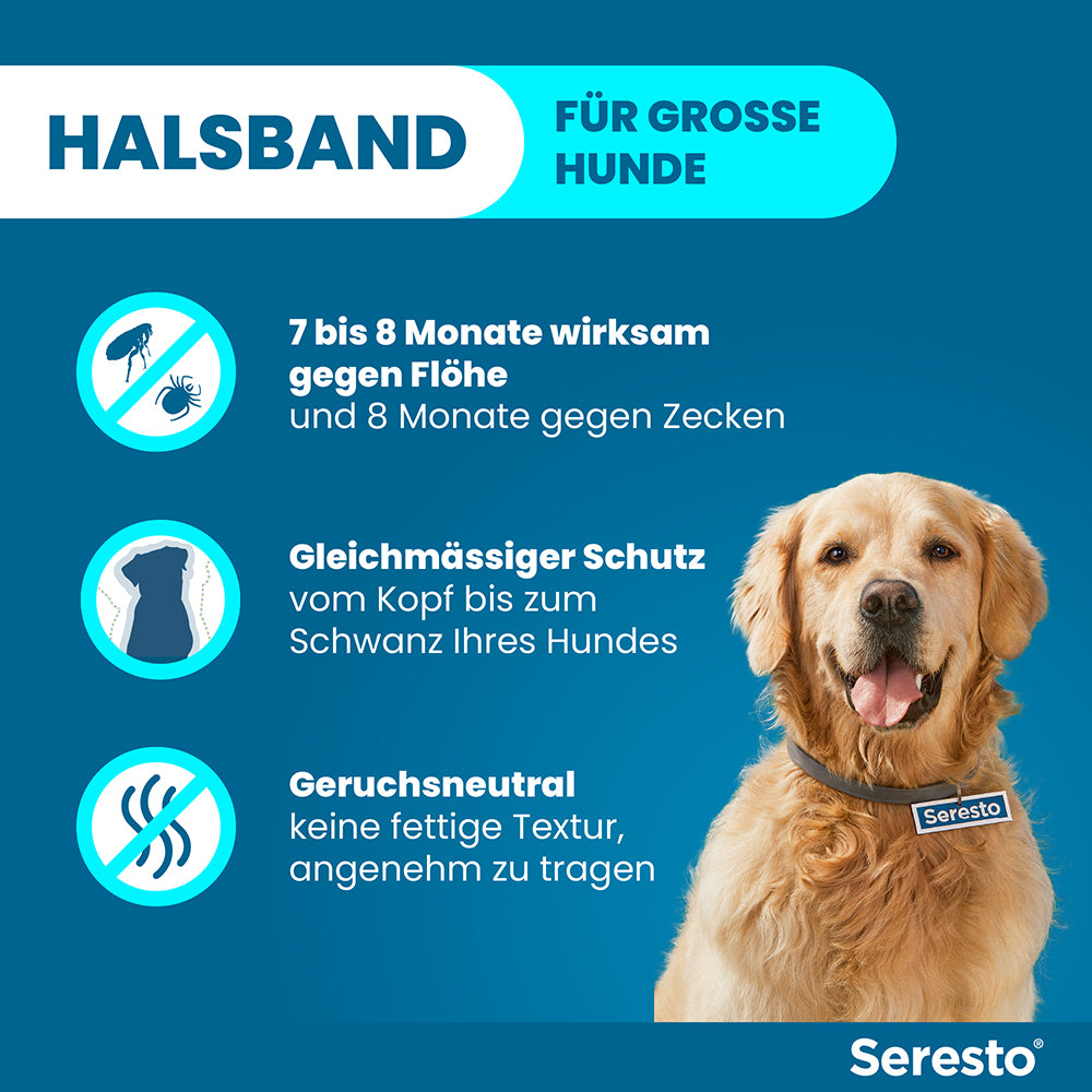Seresto Halsband für große Hunde | ab 8 kg - 1 St.