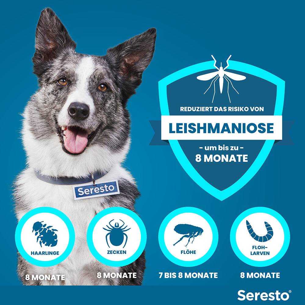 Seresto Halsband für große Hunde | ab 8 kg - 1 St.