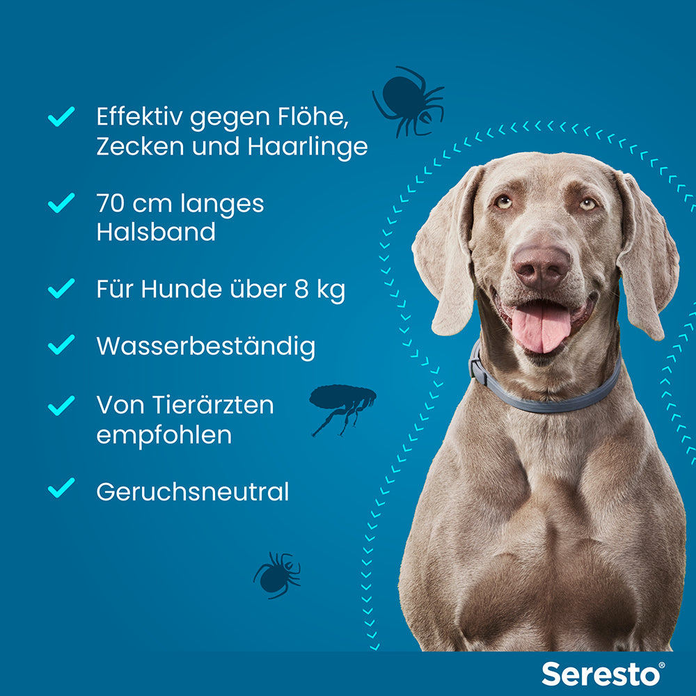 Seresto Halsband für große Hunde | ab 8 kg - 1 St.