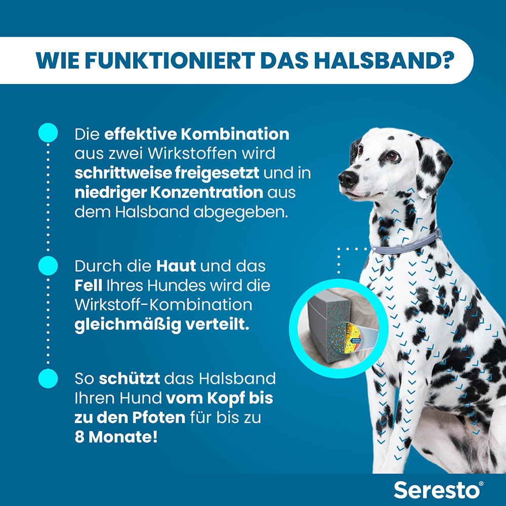 Seresto Halsband für große Hunde | ab 8 kg - 1 St.
