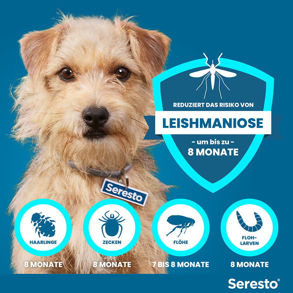 Seresto Halsband für kleine Hunde | bis 8 kg - 1 St.