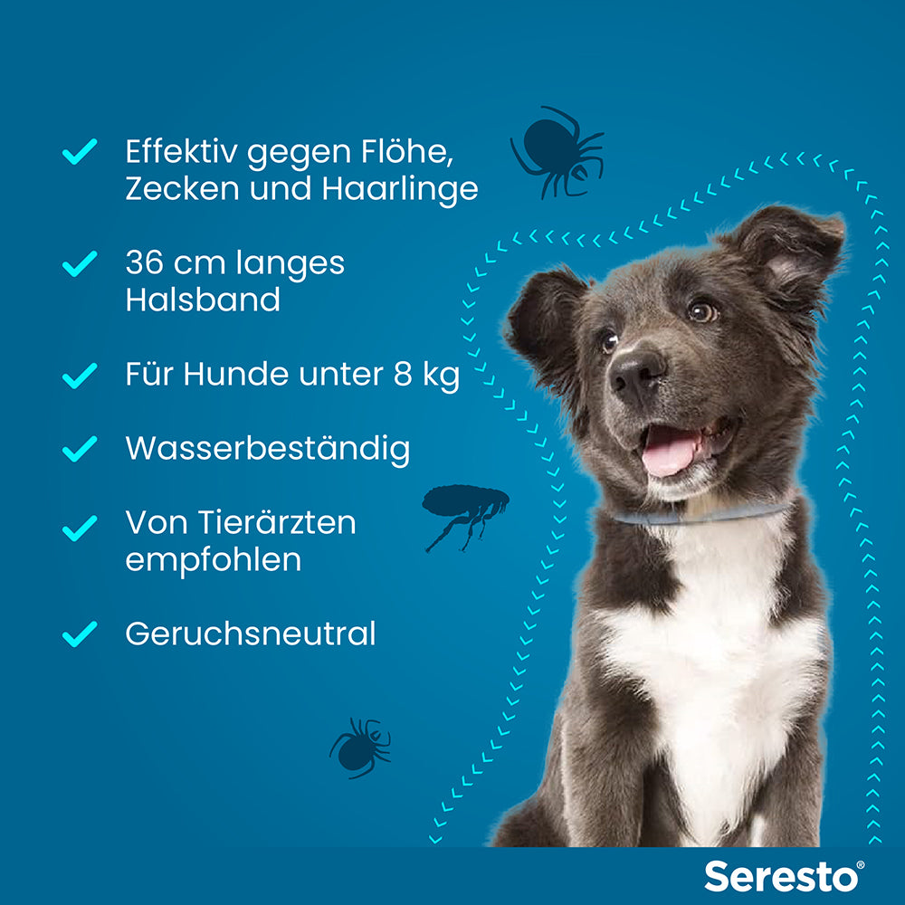 Seresto Halsband für kleine Hunde | bis 8 kg - 1 St.