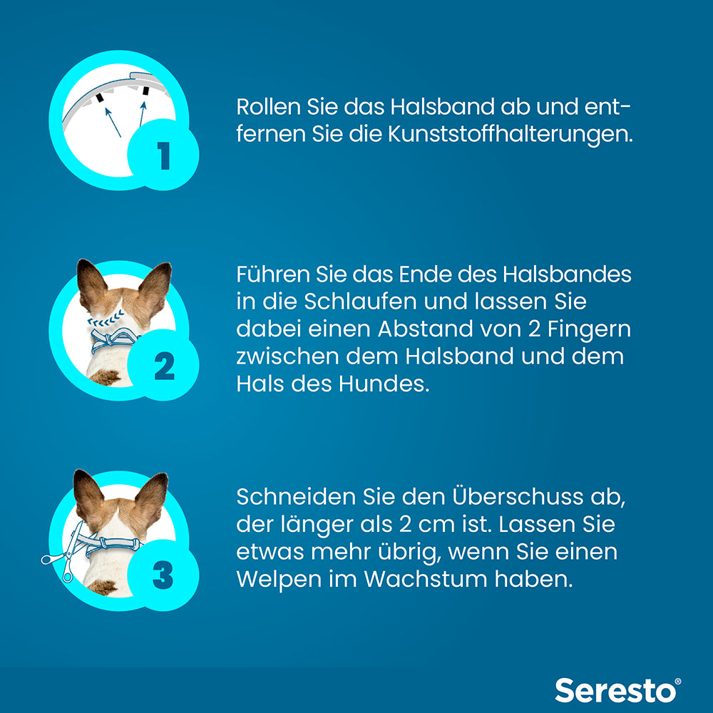Seresto Halsband für kleine Hunde | bis 8 kg - 1 St.