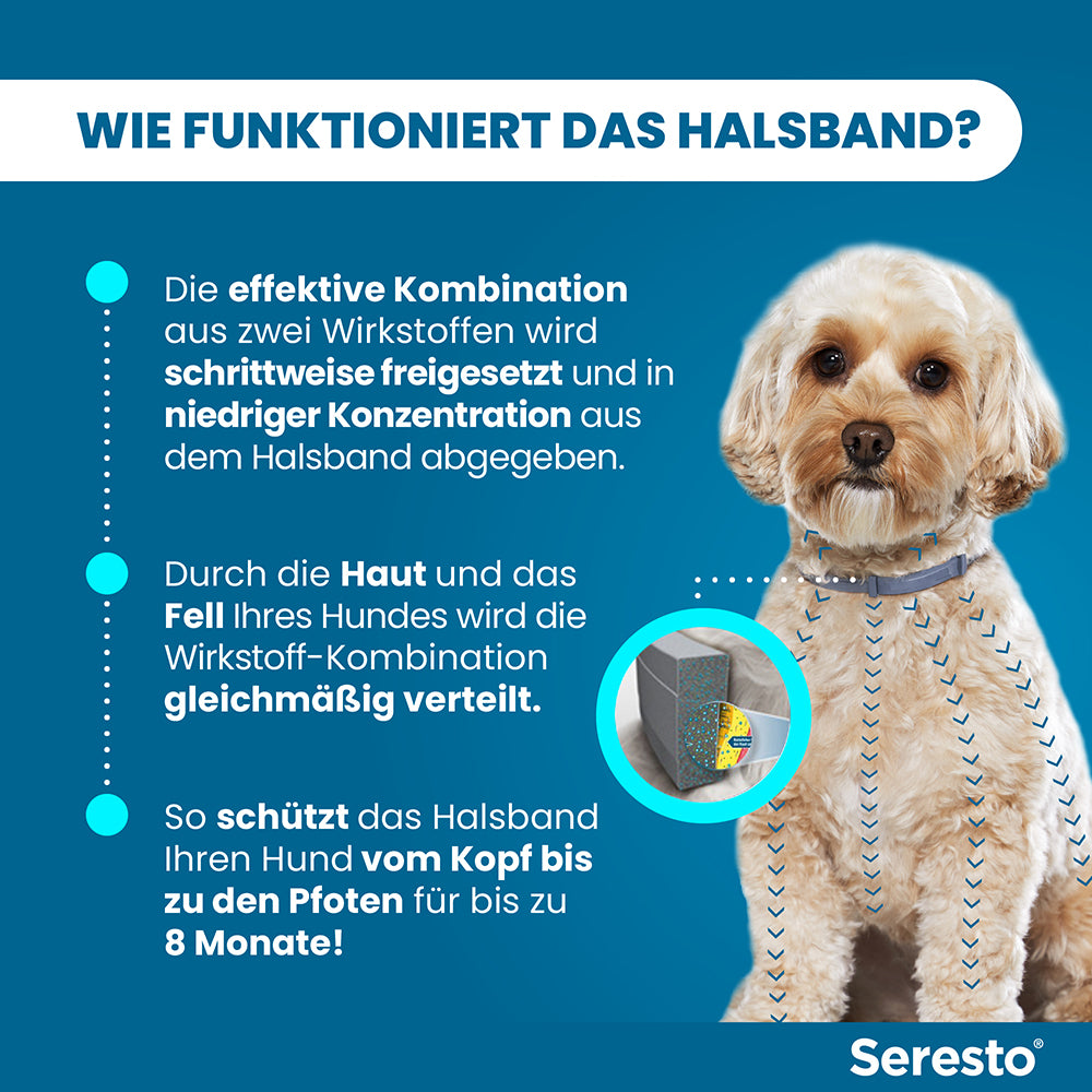 Seresto Halsband für kleine Hunde | bis 8 kg - 1 St.