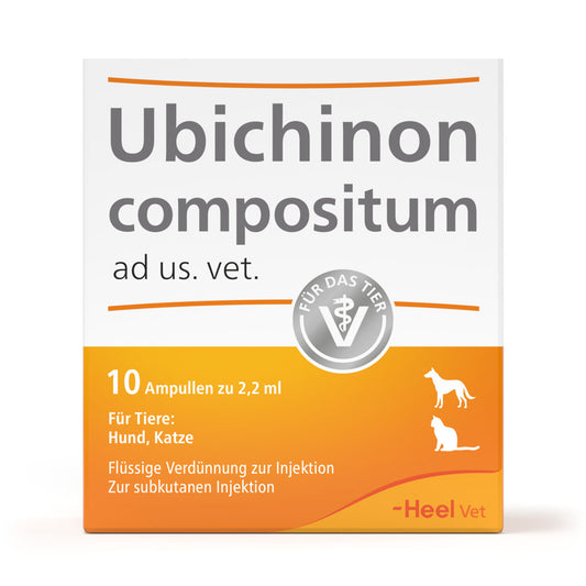 Verpackung von Ubichinon compositum ad us. vet. mit 10 Ampullen zu 2,2 ml für Hunde und Katzen, flüssige Verdünnung zur subkutanen Injektion