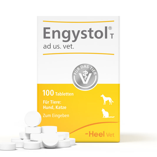 Verpackung von Engystol T Tabletten für Hunde und Katzen, 100 Stück, zur oralen Anwendung, Marke Heel Vet