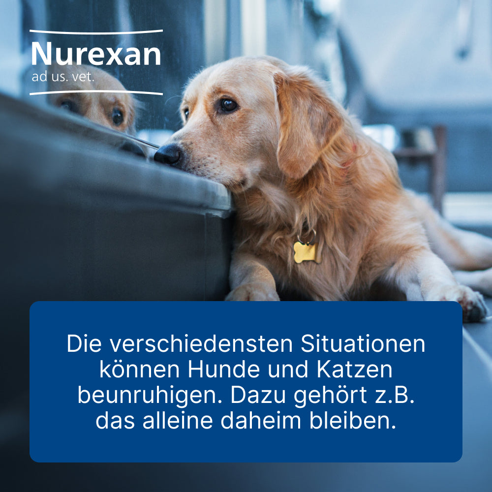 Nurexan Tabletten für Hunde & Katzen I 100 St.
