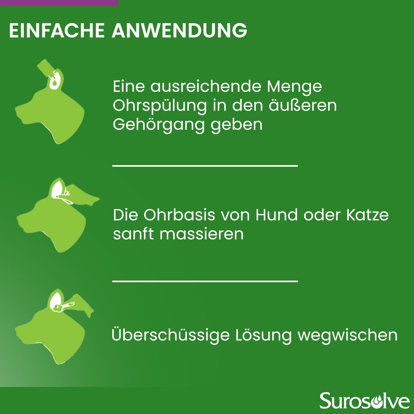 Anleitung zur Anwendung einer Ohrspülung bei Hund oder Katze: Ohrspülung in äußeren Gehörgang geben, Ohrbasis sanft massieren, überschüssige Lösung wegwischen.