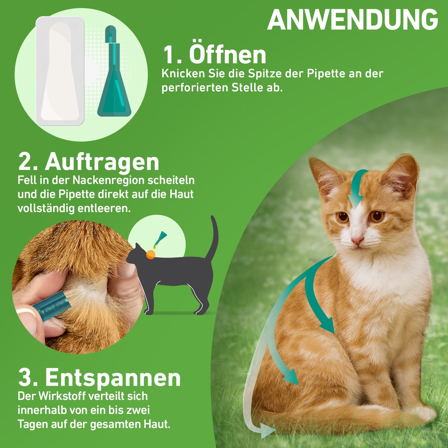 FRONTLINE Combo für Katzen - 3 St.