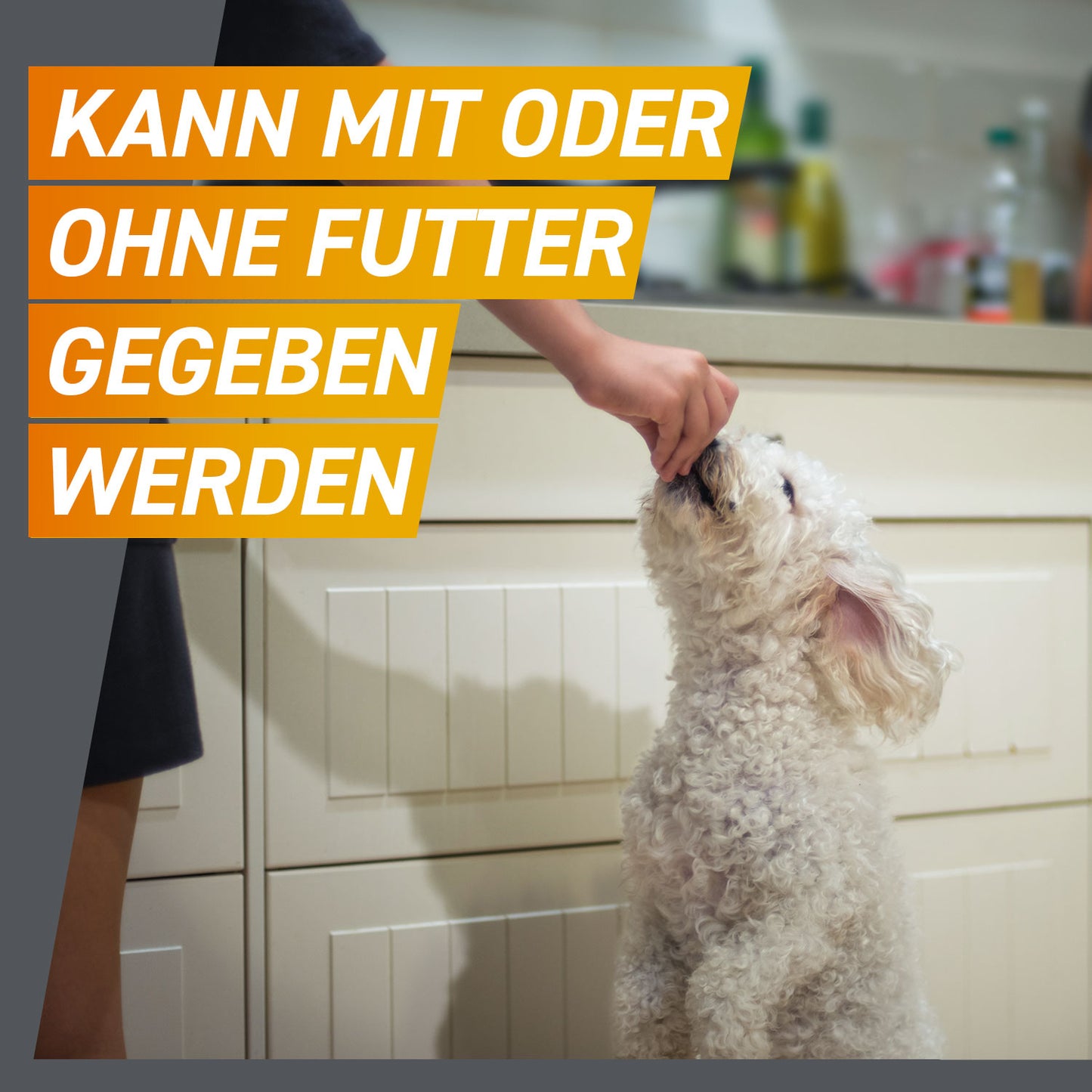 FRONTPRO Kautabletten für Hunde | von 2 bis 4 kg - 3 St.