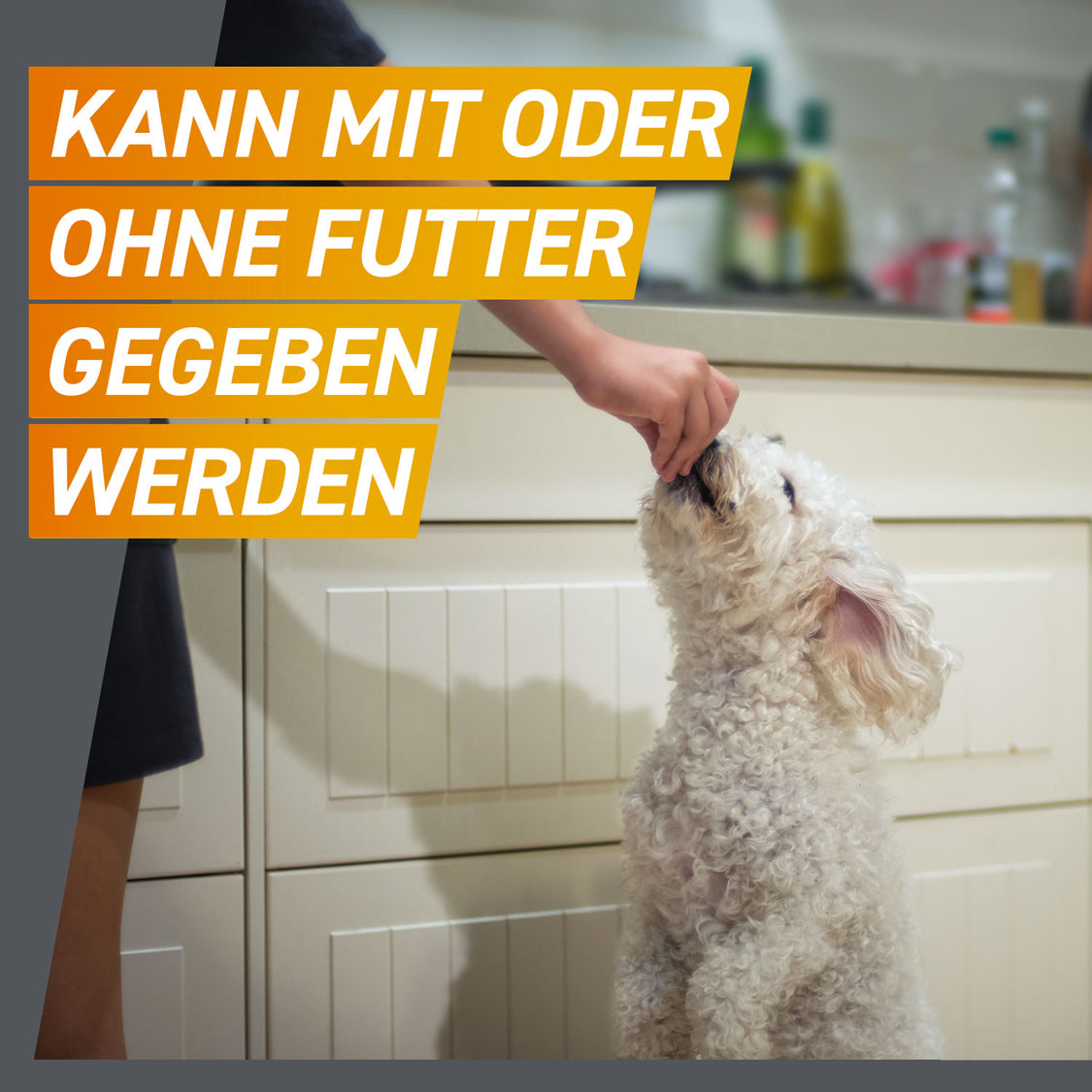 FRONTPRO Kautabletten für Hunde | von 4 bis 10 kg - 3 St.