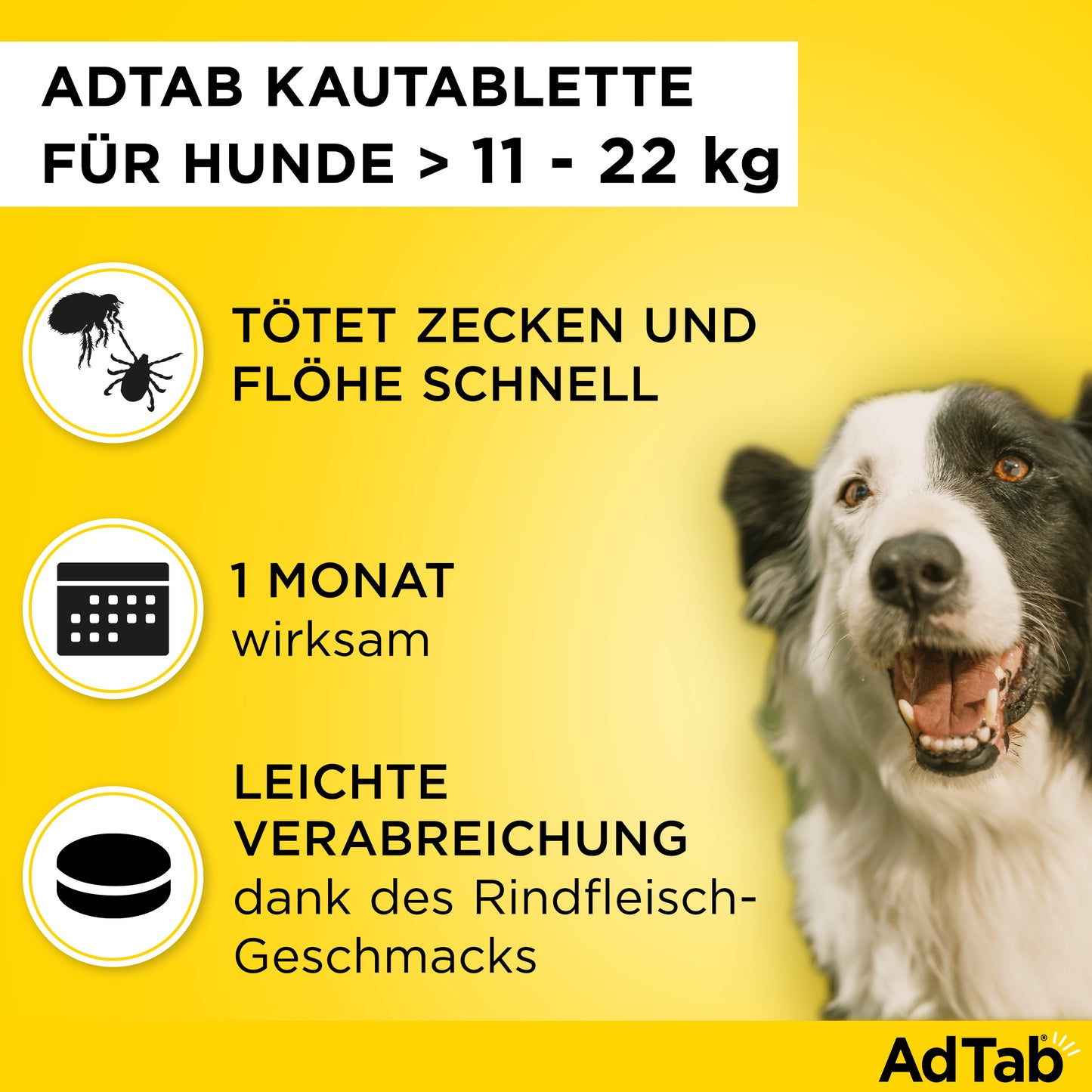 AdTab Kautabletten für Hunde | von 11 bis 22 kg - 3 St.