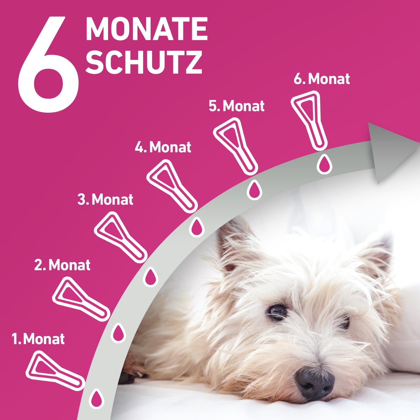 FRONTLINE Tri-Act für Hunde S | von 5 bis 10 kg - 6 St.