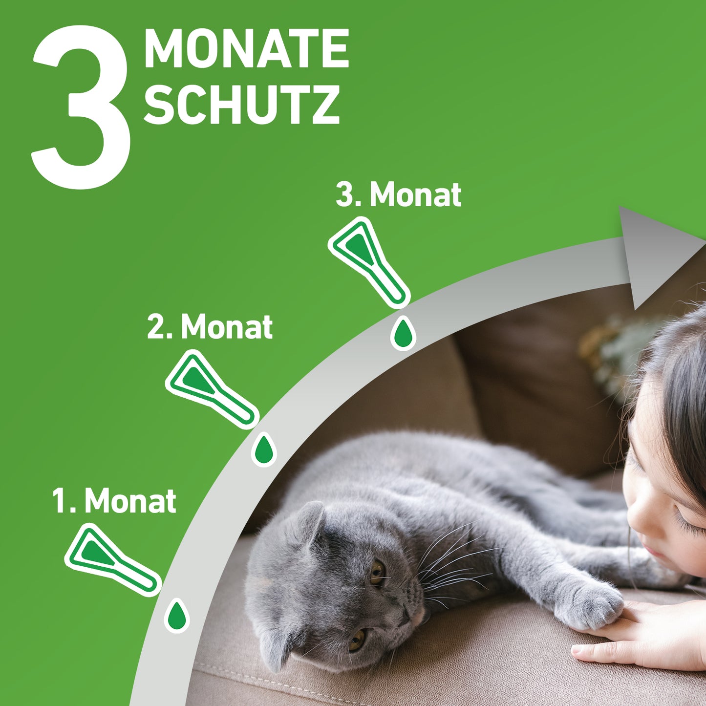 FRONTLINE Combo für Katzen - 3 St.