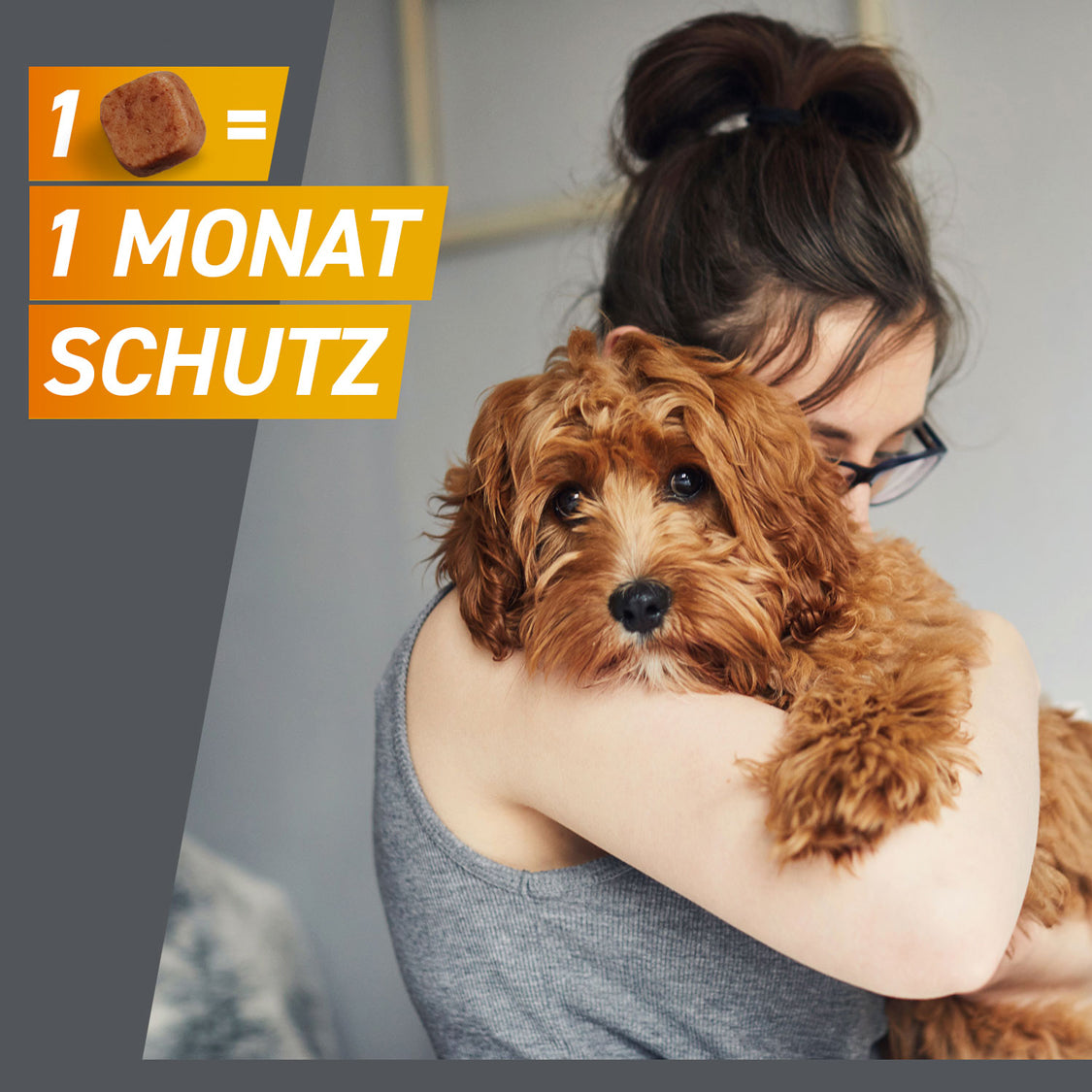 FRONTPRO Kautabletten für Hunde | von 4 bis 10 kg - 3 St.