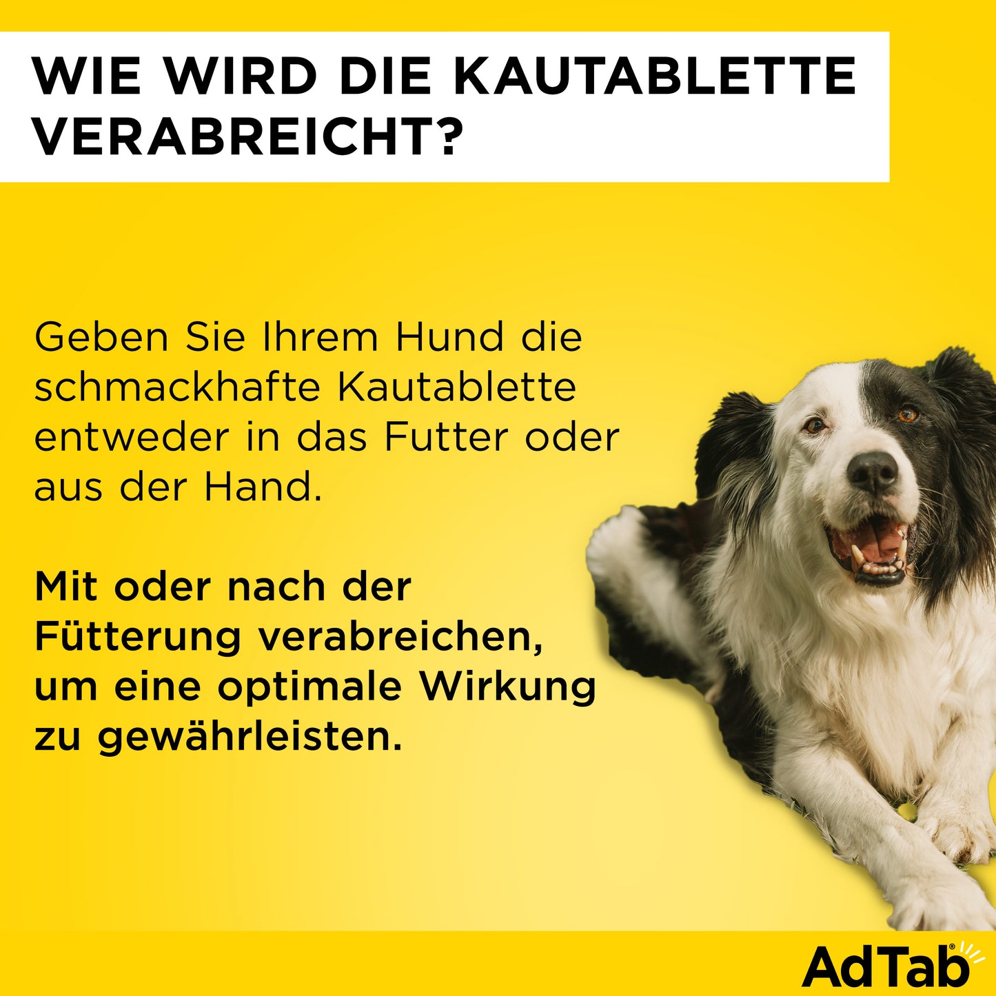 AdTab Kautabletten für Hunde | von 11 bis 22 kg - 3 St.