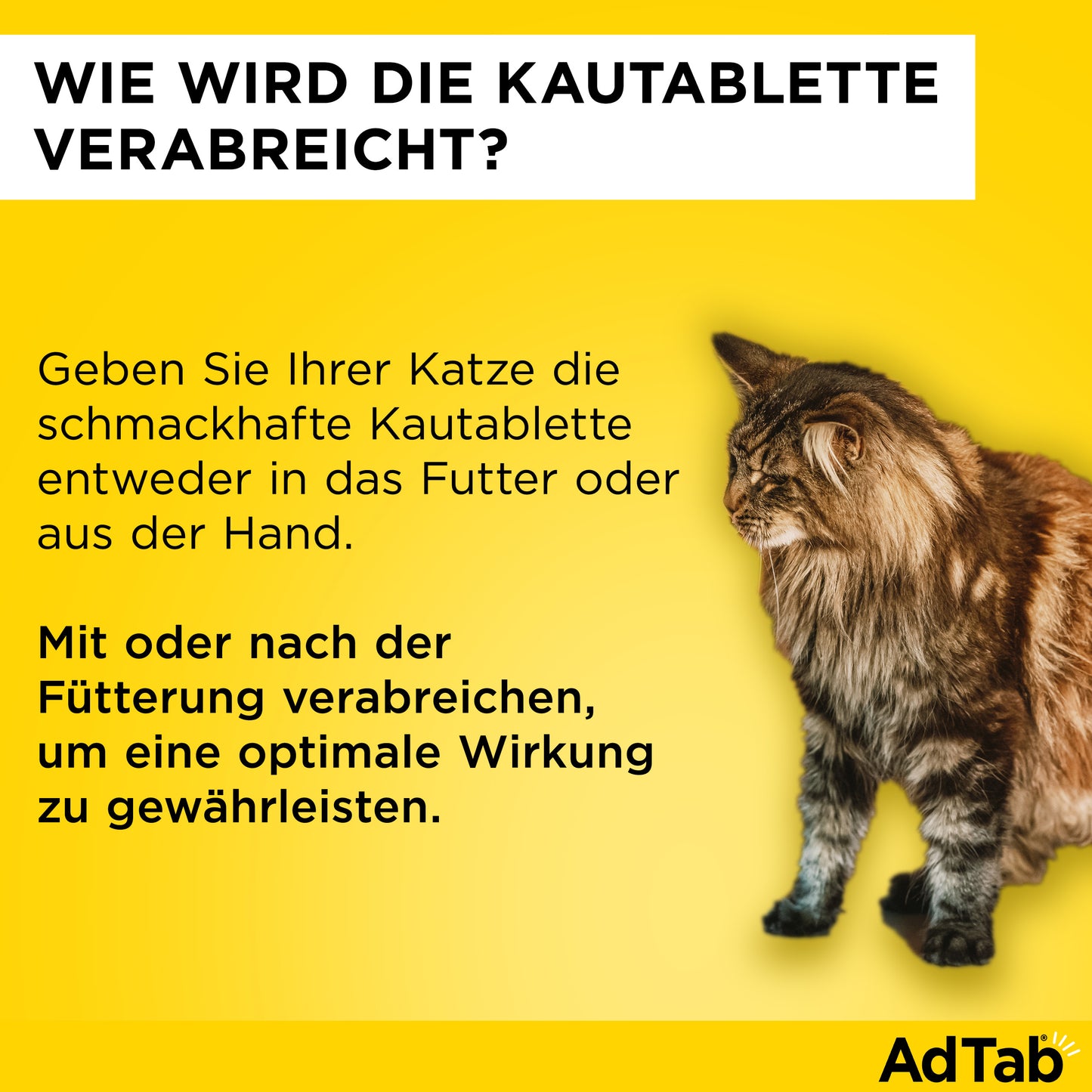 AdTab Kautabletten für Katzen | von 2 bis 8 kg - 3 St.