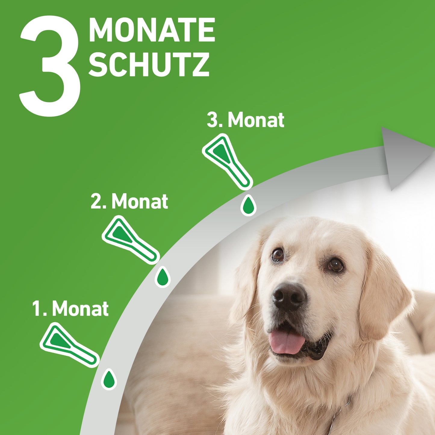 FRONTLINE Combo für Hunde L | von 20 bis 40 kg - 3 St.