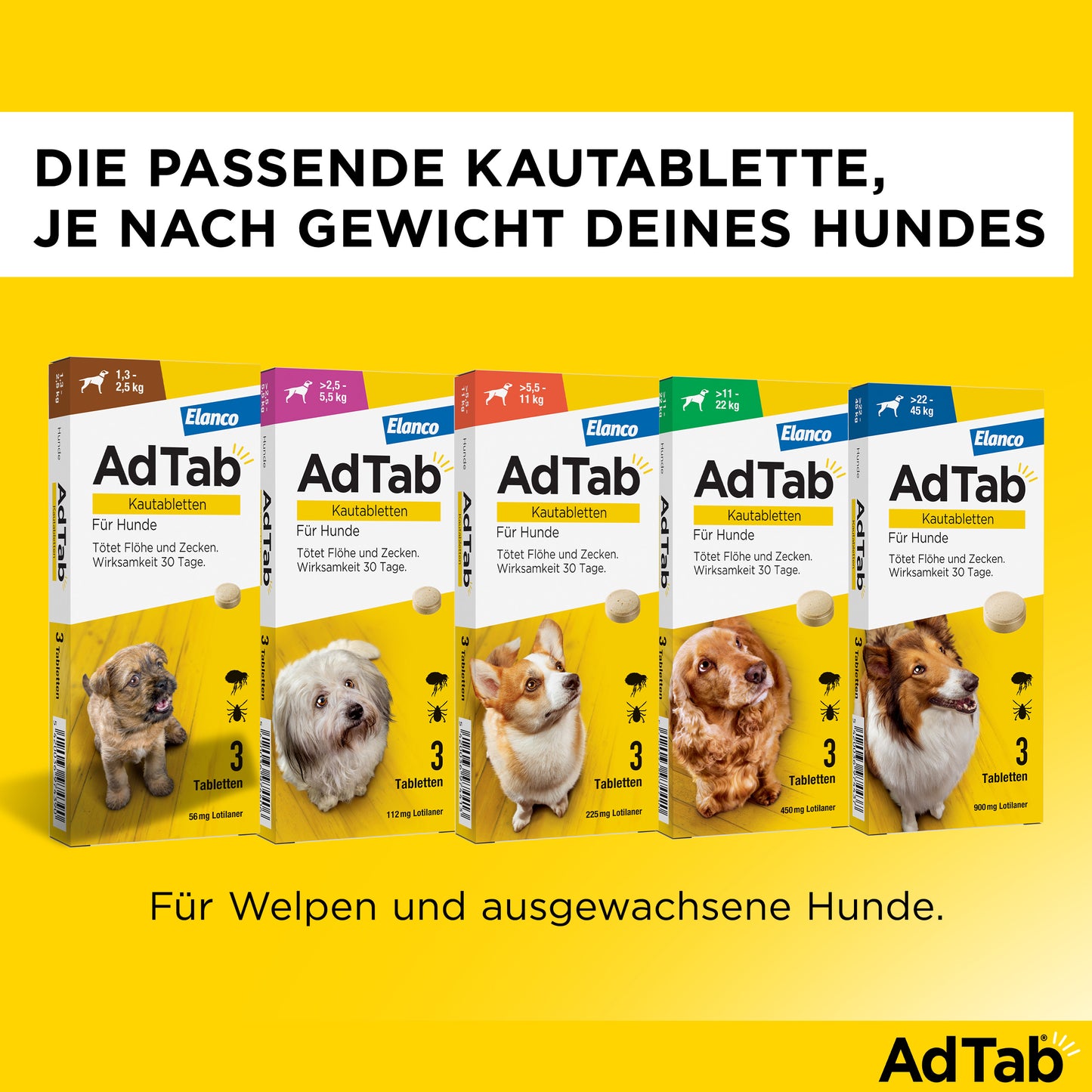 AdTab Kautabletten für Hunde | von 22 bis 45 kg - 3 St.