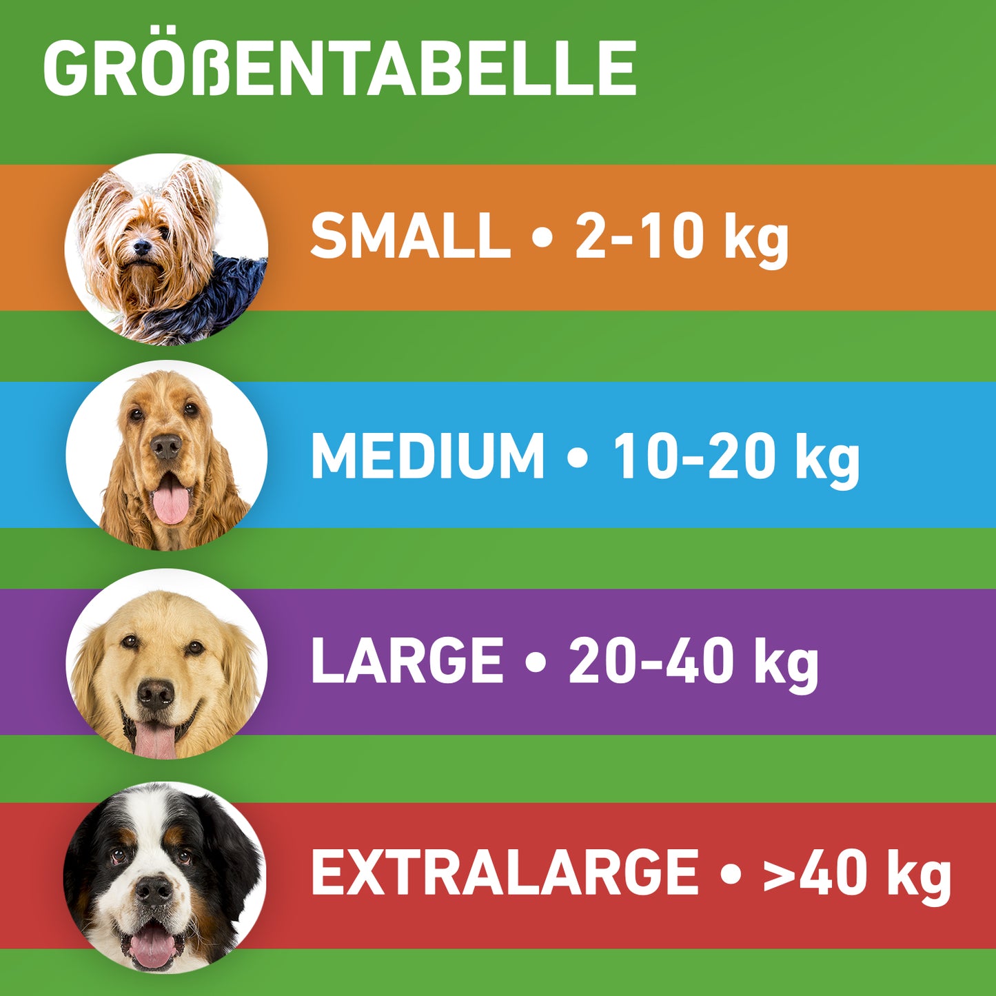 FRONTLINE Combo für Hunde M | von 10 bis 20 kg - 6 St.
