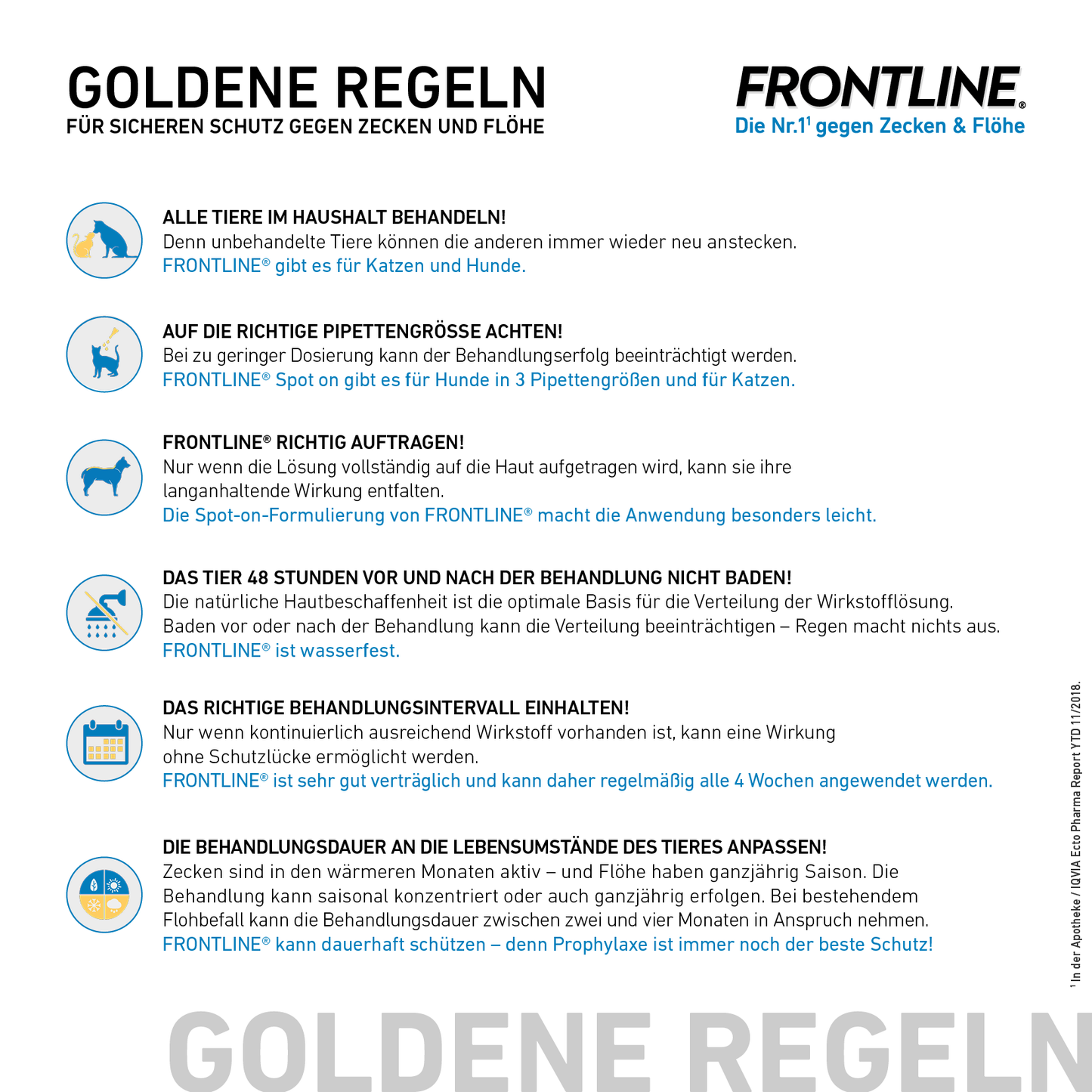 FRONTLINE Spot-On für Hunde M | von 10 bis 20 kg - 6 St.