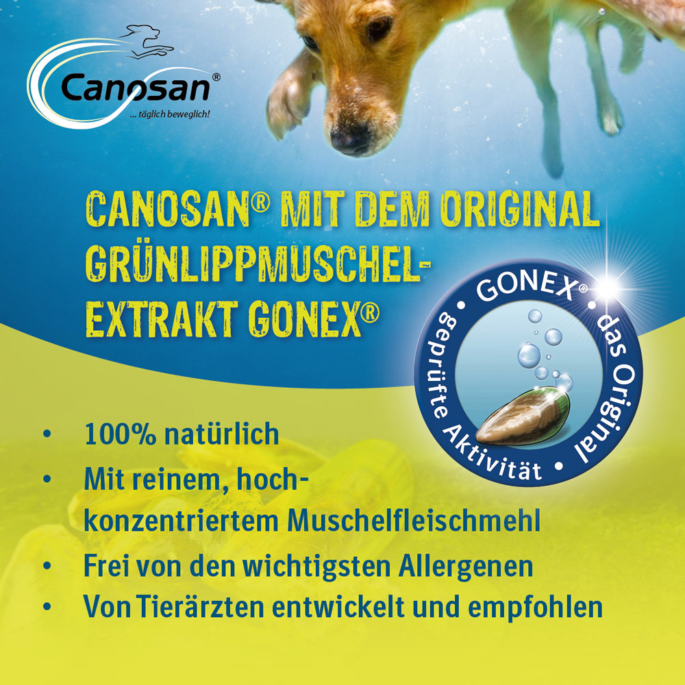 Hund taucht unter Wasser, bewirbt Canosan mit Grünlippmuschel-Extrakt Gonex, 100% natürlich, allergenfrei, von Tierärzten empfohlen