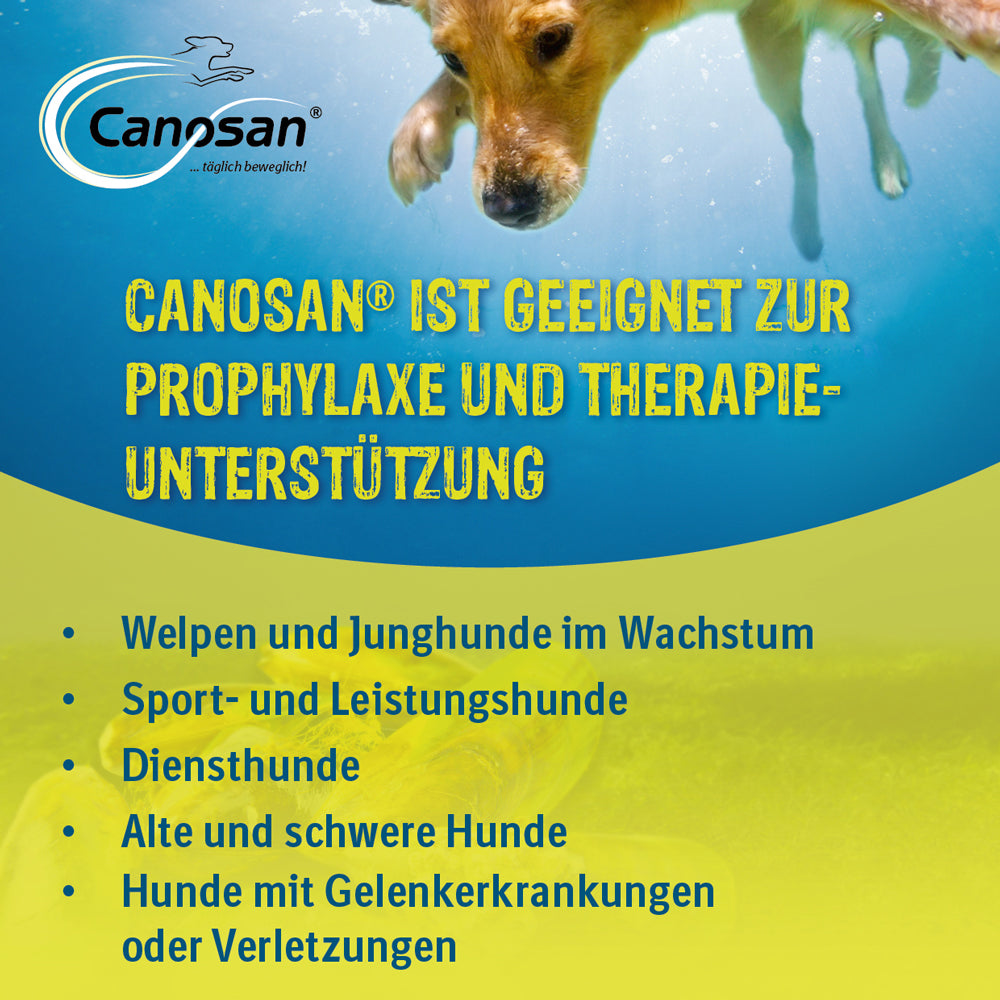 Hund taucht unter Wasser, Text beschreibt Canosan als geeignet zur Prophylaxe und Therapieunterstützung für Welpen, Sporthunde, Diensthunde, alte und schwere Hunde sowie Hunde mit Gelenkerkrankungen