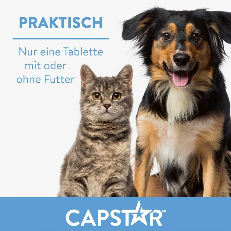 Katze und Hund sitzen nebeneinander, Text 'Praktisch Nur eine Tablette mit oder ohne Futter', Marke Capstar