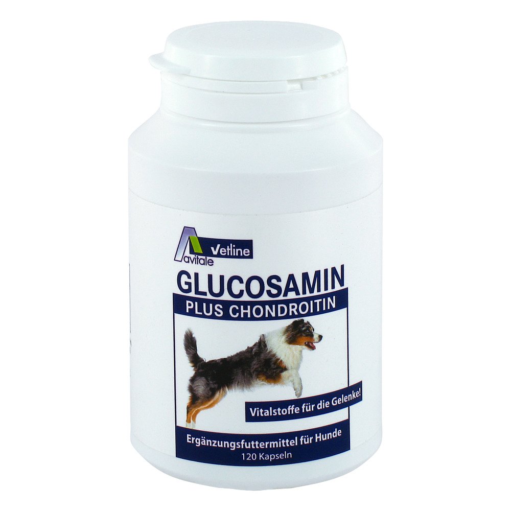 Weißer Behälter mit Glucosamin plus Chondroitin Ergänzungsfuttermittel für Hunde, 120 Kapseln, mit Bild eines laufenden Hundes