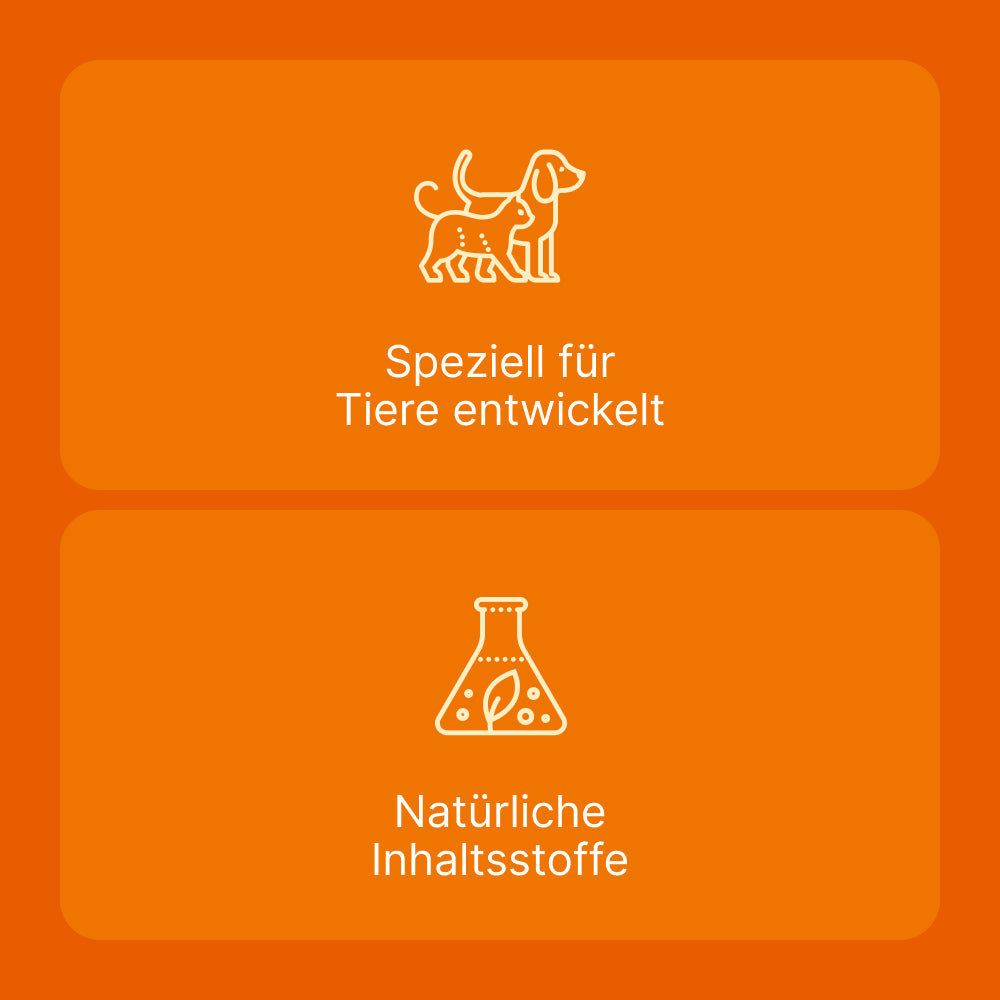 Ubichinon compositum Ampullen für Hunde und Katzen I 10 St.