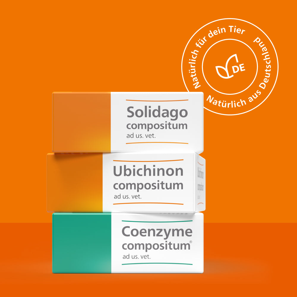Drei gestapelte Arzneimittelverpackungen mit der Aufschrift ‚Solidago compositum‘, ‚Ubichinon compositum‘ und ‚Coenzyme compositum‘, jeweils mit dem Zusatz ‚ad us. vet.‘ für tiermedizinische Anwendung. Die Verpackungen sind in Orange-, Gelb- und Grüntönen gestaltet.