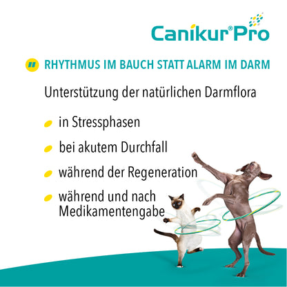 Canikur Pro Paste für Hunde & Katzen I 60 ml