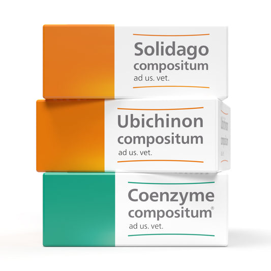 Drei gestapelte Arzneimittelverpackungen mit der Aufschrift ‚Solidago compositum‘, ‚Ubichinon compositum‘ und ‚Coenzyme compositum‘, jeweils mit dem Zusatz ‚ad us. vet.‘ für tiermedizinische Anwendung. Die Verpackungen sind in Orange-, Gelb- und Grüntönen gestaltet.