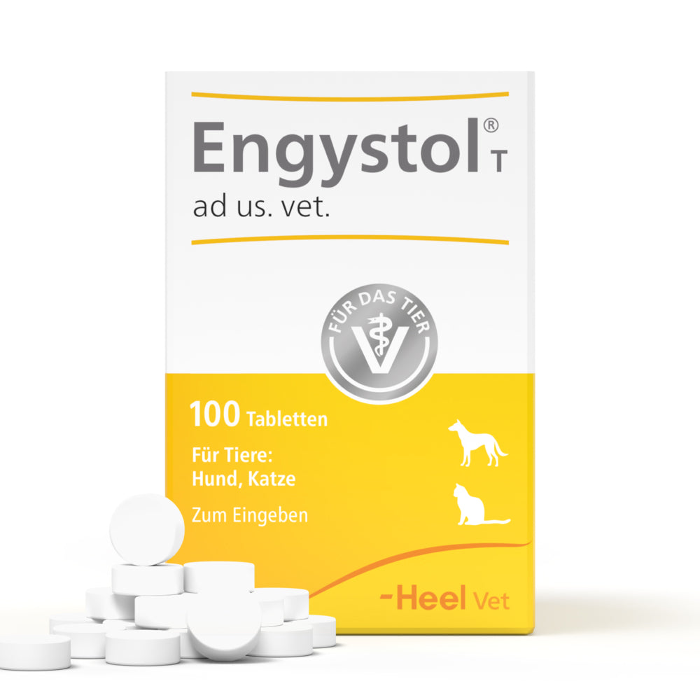 Engystol T Tabletten für Hunde & Katzen | 100 St.