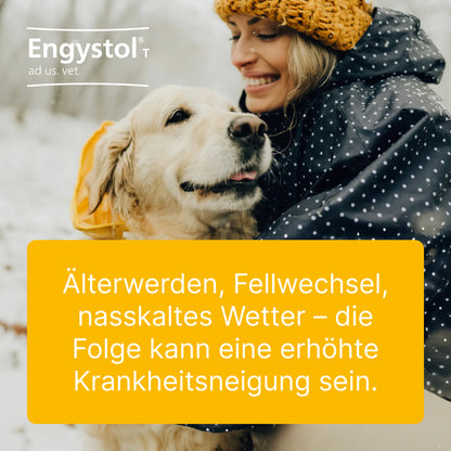 Engystol T Tabletten für Hunde & Katzen | 100 St.