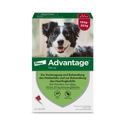Advantage Spot-On für Hunde | von 10 bis 25 kg - 4 St.