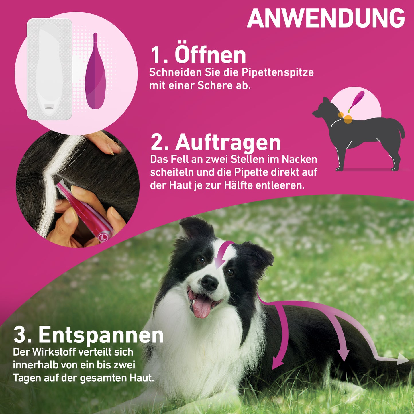 FRONTLINE Tri-Act für Hunde M | von 10 bis 20 kg - 6 St.