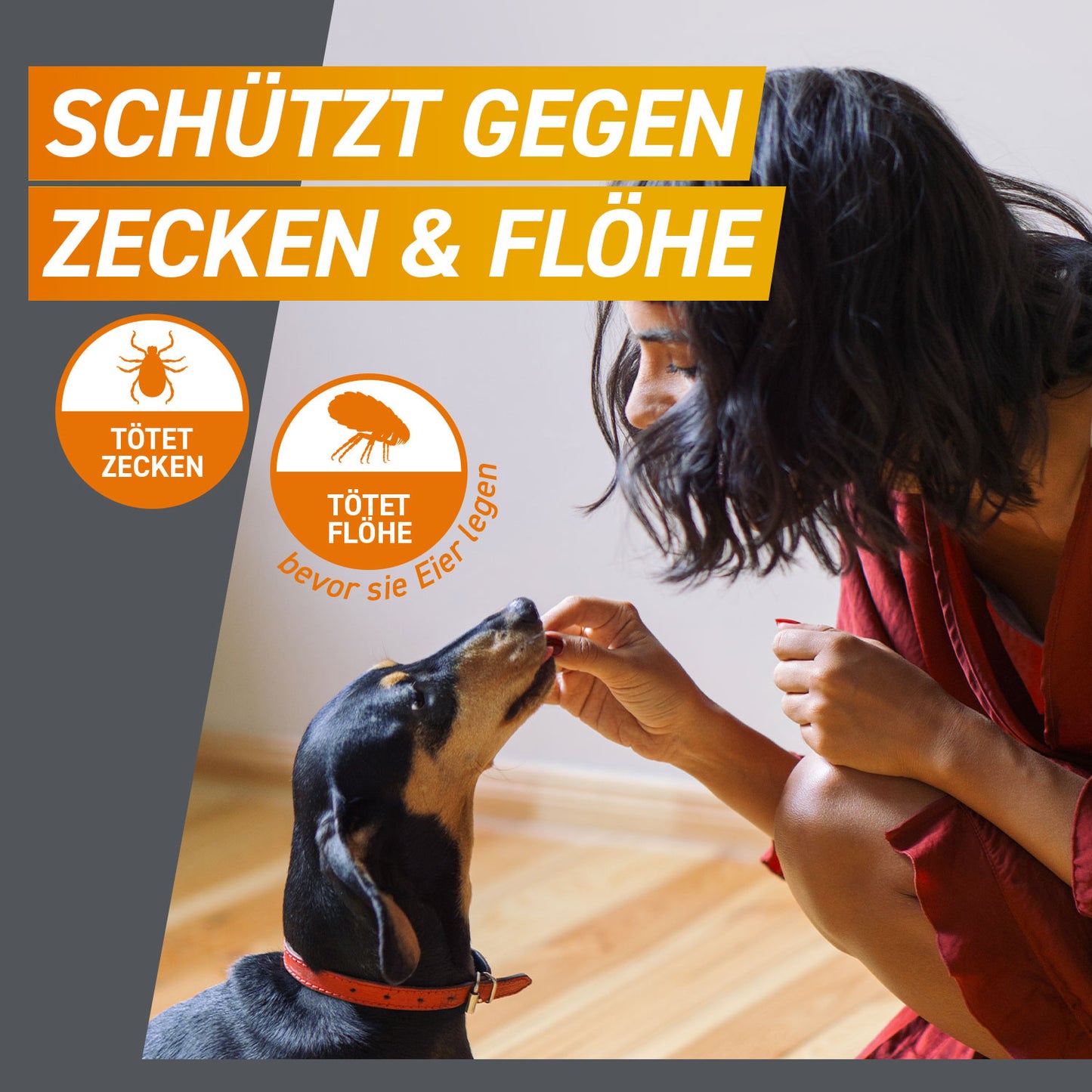 FRONTPRO Kautabletten für Hunde | von 2 bis 4 kg - 3 St.