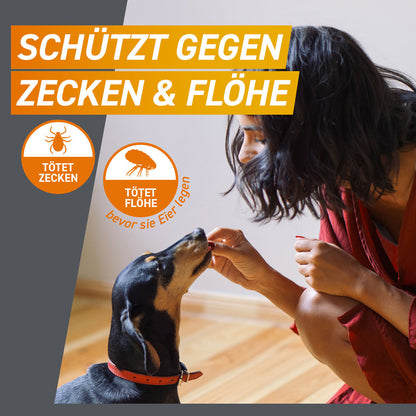 FRONTPRO Kautabletten für Hunde | von 25 bis 50 kg - 6 St.