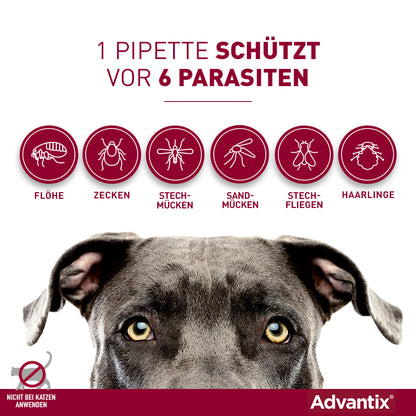 Advantix Spot-On für Hunde | von 4 bis 10 kg - 4 St.