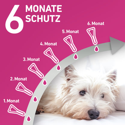 FRONTLINE Tri-Act für Hunde M | von 10 bis 20 kg - 6 St.