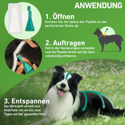 FRONTLINE Combo für Hunde XL | über 40 kg - 3 St.