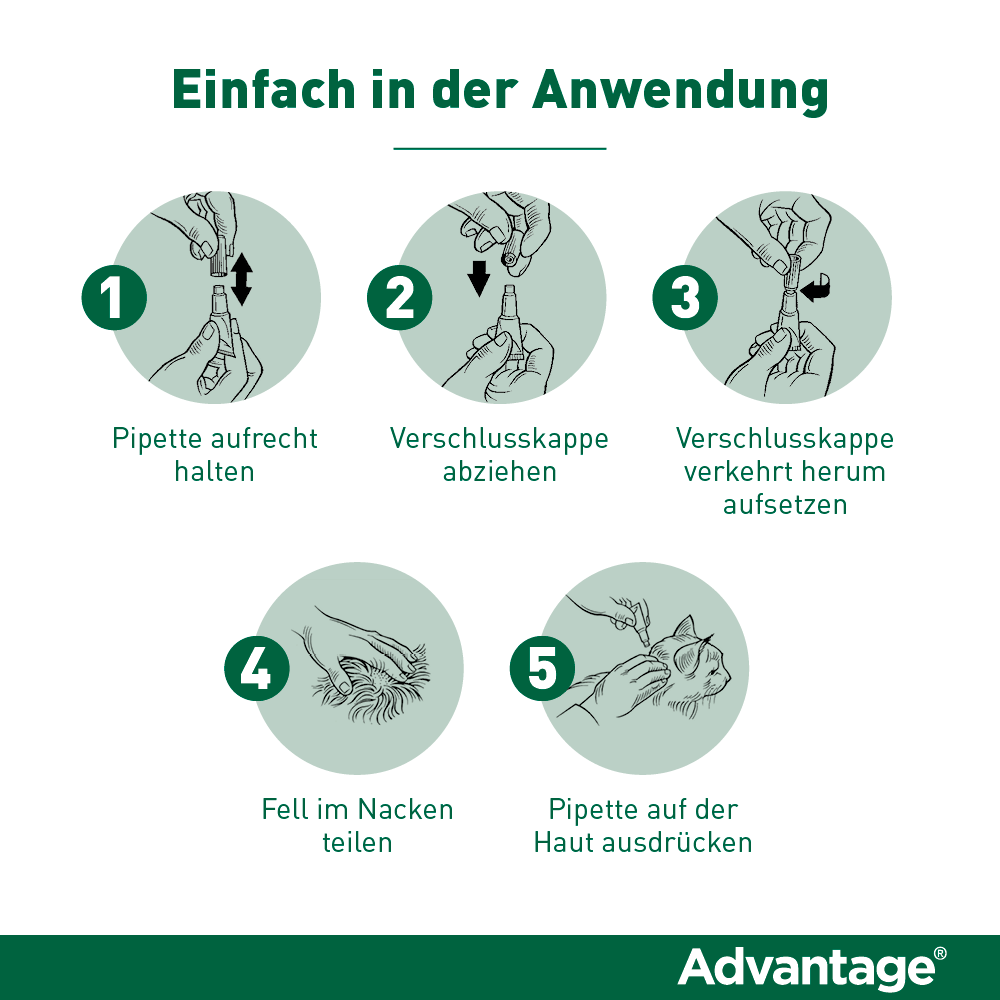 Advantage Spot-On für Katzen & Zierkaninchen | über 4 kg - 4 St.