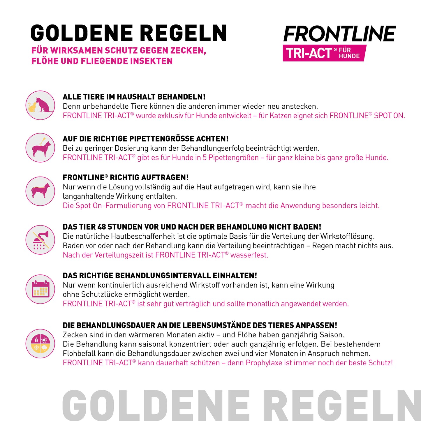 FRONTLINE Tri-Act für Hunde M | von 10 bis 20 kg - 6 St.