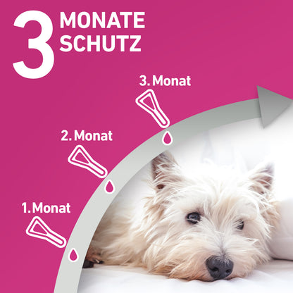 FRONTLINE Tri-Act für Hunde XL | von 40 bis 60 kg - 3 St.